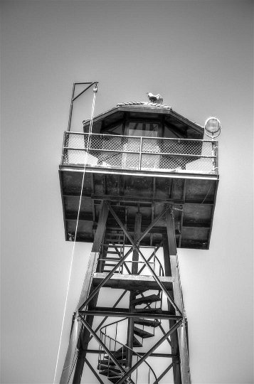 alcatraz2 zw (Large)